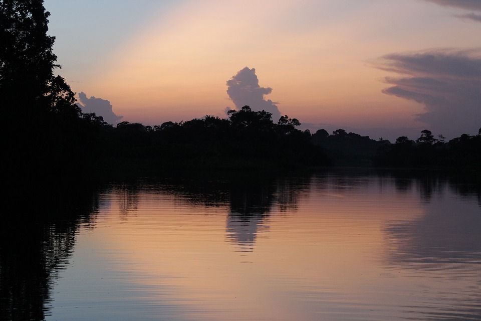 río amazonía